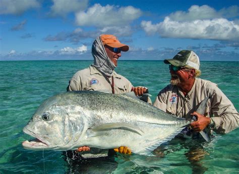 seychelles fishing trips|Alphonse Fishing Company .
